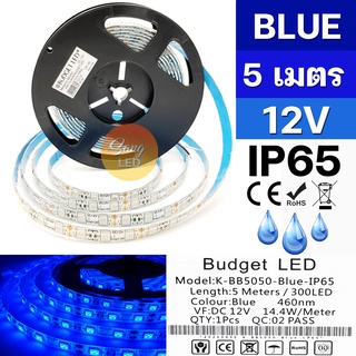 ไฟเส้น LED STRIP แสงน้ำเงิน 12V ซิลิโคลน IP65 ยาว 5เมตร รหัส:K-BB5050-BLUE-IP65 (BUDGET)