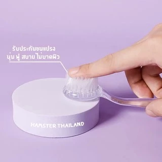 [Hamsterthailand] แปรงหวีขน แปรงขน อุปกรณ์สัตว์เลี้ยง ขนนุ่ม สำหรับสัตว์เลี้ยง แฮมสเตอร์