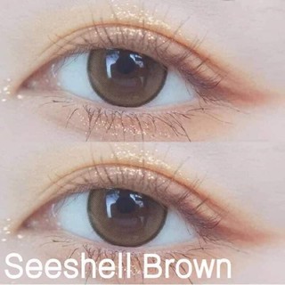 **ส่งของทุกวัน** บิ๊กอายสายแบ้ว สีน้ำตาล ตาโต จากฝาแดง คอนแทคเลนส์ตาโต bigeye ลาย seeshell brown