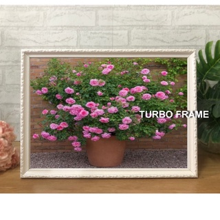 กรอบรูปแต่งบ้าน A3 สีขาว ฟ้า ชมพู TURBO FRAME ใส่ใบประกาศ พร้อมกระจก+ขาตั้ง+หูแขวนผนัง