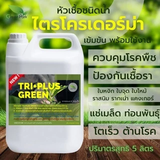ไตรโคเดอร์มา เชื้อสด ชนิดน้ำ ขนาด 5 ลิตร ควบคุมโรค เชื้อรา ราก โคนเน่า ใบหงิก แคงเกอร ใบจุด ชีวภาพ ไม้ด่าง Trichoderma