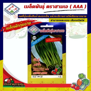 AAA 🇹🇭 ผักซอง A113# เมล็ดผักกุ้ยฉ่าย (พันธุ์แต้จิ๋ว)  เมล็ดพันธุ์ เมล็ดพันธุ์ผัก เมล็ดพันธุ์ ผักสวนครัว ตราAAA สามเอ