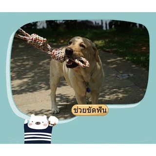 Happy PETs ของเล่นสุนัข เชือกกัดปมเกลียวใหญ่ สีครีม สำหรับสุนัขสายพันธุ์ใหญ่ ของเล่นหมา