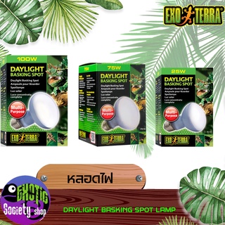 หลอดไฟสำหรับสัตว์เลื้อยคลาน Exo Terra DAYLIGHT BASKING SPOT LAMP