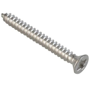 สกรูเกลียวปล่อย ขนาด 7X2 SK SELF TAPPING SCREWS  บรรจุกล่องละ 500 ตัว #WWEF172