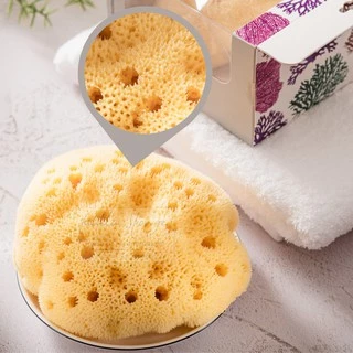 KALLA SPONGE ฟองน้ำธรรมชาติ ชนิด Fine Silk สีเหลือง ฟองน้ำ สำหรับล้างหน้าและอาบน้ำ เด็กและทารก