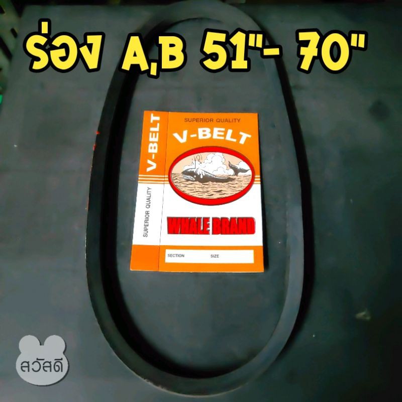 สายพานตราปลาวาฬ ร่องA,ร่องB 51"-70" หน่วยเป็นนิ้ว