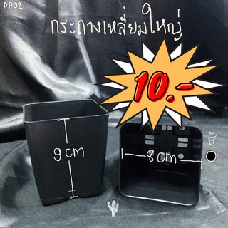 PP01 กระถางพลาสติกราคาประหยัด ทรงเหลี่ยม ขนาดใหญ่ (8x9cm) เหมาะสำหรับแคคตัส ไม้อวบน้ำ กระบองเพชร ฮาโวเทีย กุหลาบหิน