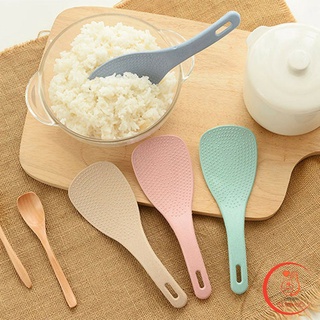 ทัพพีตักข้าว ข้าวไม่ติดทัพพี ทำจากฟางข้าวสาลี   wheat straw spoon