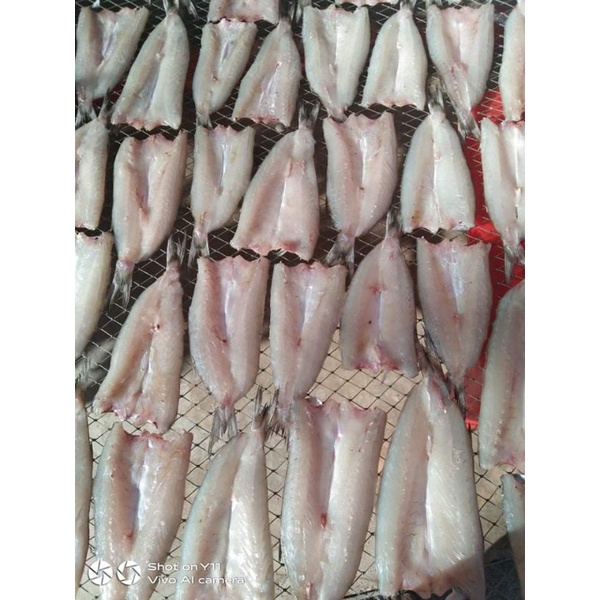 ปลาน้ำดอกไม้แดดเดียวจากราคา450฿ลดเหลือ350฿
