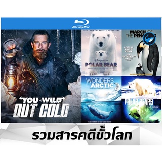 Bluray (บลูเรย์) รวมสารคดีขั้วโลกเหนือใต้ - You vs. Wild: Out Cold (2021) ผจญภัยสุดขั้วกับแบร์กริลส์ | Polar Bear 2022