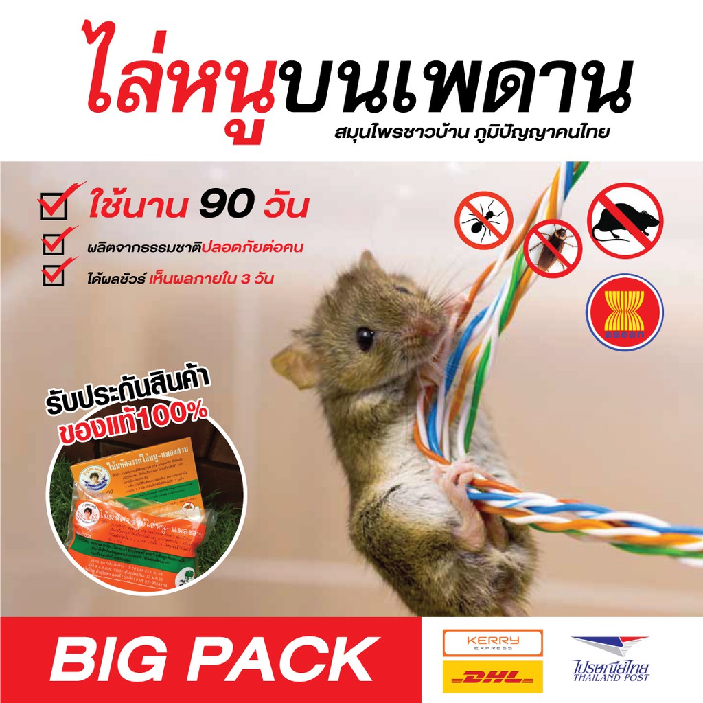 📢ส่งทุกวัน l ไล่หนูบนฝ้า สมุนไพรธรรมชาติ 100%🔥ไม่มีสารเคมี ไล่ได้ไม่ฆ่าหนู 👉 มีบริการเก็บปลายทาง