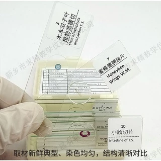 พร้อมส่ง 10 / 25 / 50 ชิ้นมืออาชีพแก้วเตรียมสไลด์กล้องจุลทรรศน์สำหรับเด็กโรงเรียนห้องปฏิบัติการการศึกษา
