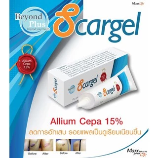 แมกไลฟ์ บียอนด์ พลัส สกาเจล MaxxLife Beyond Plus Scargel 10g. [6290]