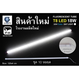 Zeberg หลอดนีออนสี ขั้วกันน้ำ รุ่นใหม่ LED T8 18W สีขาว (10 หลอด)