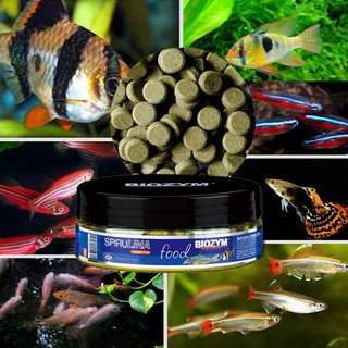 BIOZYM  อาหารปลา แบบแปะหรือจม สำรับปลาสวยงาม มี 2 สูตร ✅พร้อมส่งในไทย