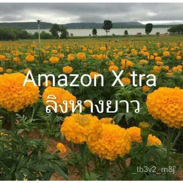 My Image 7
