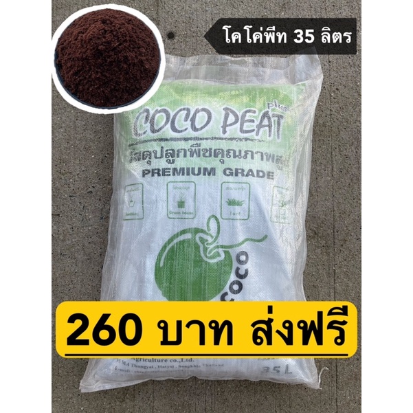 โคโค่พีท 35 ลิตร📍ส่งฟรี📍