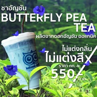 ชาอัญชัน ดอกอัญชัน ผสมกับใบชา ขนาดบรรจุ 500 กรัม ชา กาเเฟ Butterfly Pea Tea by Bluemocha