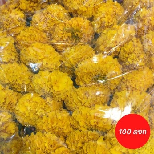 **รบกวนสอบถามก่อนกดสั่งซื้อ**ไฮเดรนเยีย (ดอกไม้สด)