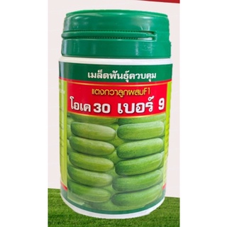 เมล็ดพันธุ์ แตงกวา แตงกวาลูกผสม โอเค30 เบอร์9 (100g)❗หมดอายุ พ.ย 2567❗