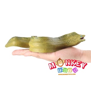 Monkey Toys - โมเดลสัตว์ ปลาไหลทะเล Moray ขนาด 22.00 CM (จากหาดใหญ่)