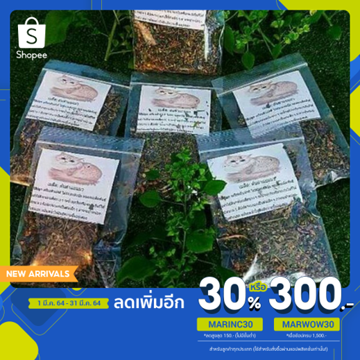 [ใช้โค้ด MARINC30 ลดเหลือ 29.-] เมล็ดต้นตำแยแมว  ปลูกง่าย 1 ชุดมี 200-300 เมล็ดโดยประมาณ