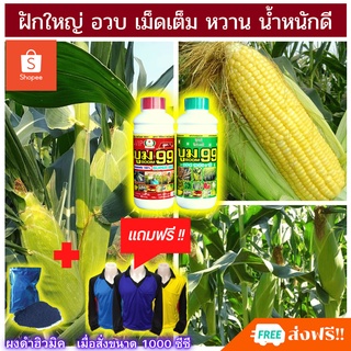 🆓ส่งฟรีไม่ใช้โค๊ด ปุ๋ยน้ำ ปุ๋ยข้าวโพด เร่งฝัก สำหรับข้าวโพด ฝักงาม ฝักใหญ่ เม็ดสวย ด้วย บูม99