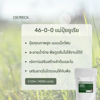500G/1KG ปุ๋ยยูเรีย 46-0-0 (แม่ปุ๋ยไนโตรเจน) ยูเรีย / Urea (46-0-0) - Chemrich
