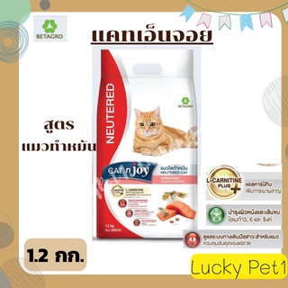 Cat n joy Neutered อาหารแมวทำหมัน แค็ท เอ็นจอย สูตรแมวโตทำหมัน รสแซลมอน 1.2 กก. อาหารแมวโตหลังทำหมัน