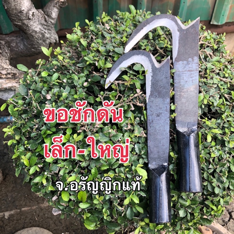 ขอชักดัน ขอกระชาก เหล็กใบเลื่อยหิน มีดอรัญญิก จ้อย อรัญญิกแท้