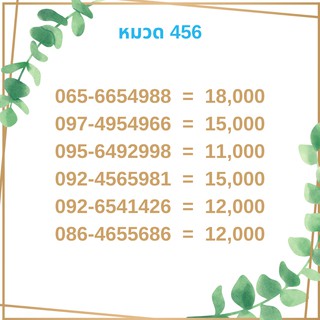 เบอร์มงคล 456 เบอร์มังกร เบอร์จำง่าย เบอร์รวย เบอร์เฮง ราคาถูก ราคาไม่แพง