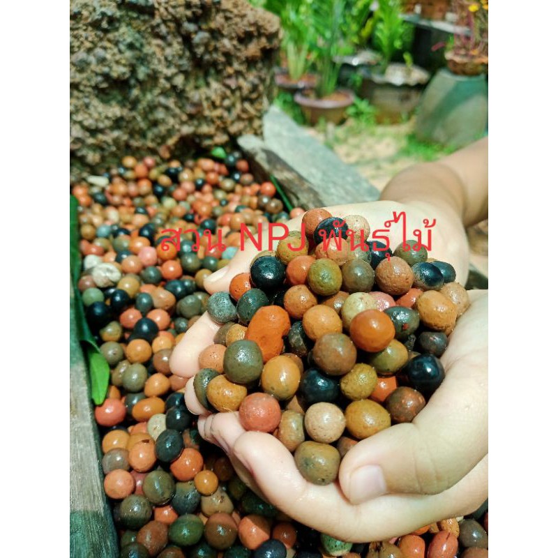 เม็ดดินเผา ลิตรละ45บาท เม็ดดินเผาคุณภาพสูง ขนาด12 มม.สีสันสวยงาม คละสี เม็ดดินเผาโรยหน้ากระถาง เม็ดด