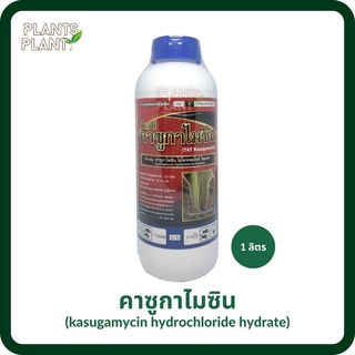 คาซูกาไมซิน ไฮโดรคลอไรด์ ไฮเดรด 1L (Kasugamycin Hydrochloride Hydrate) กำจัดโรคพืช แคงเกอร์ ใบไหม้ ใบส้ม ขอบใบแห้ง