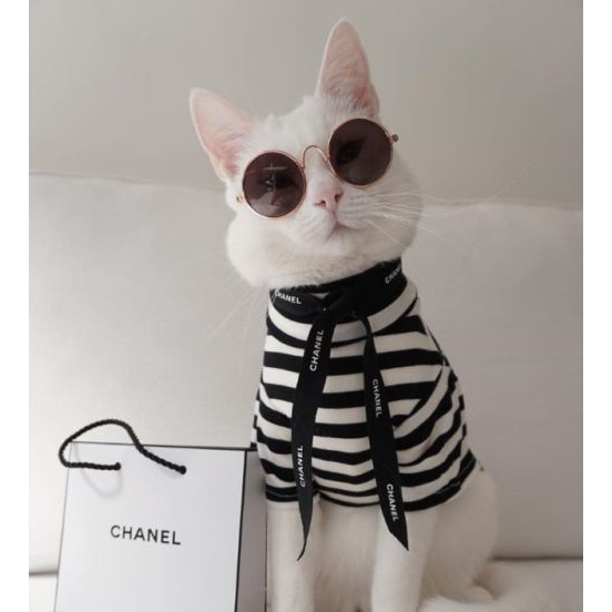 แว่นหมา แว่นแมว แว่นตากันแดดสัตว์เลี้ยง ทรงกลม เหมาะกับ หมาแมว กระต่าย ขนาดเล็ก มีสายรัดให้ฟรี