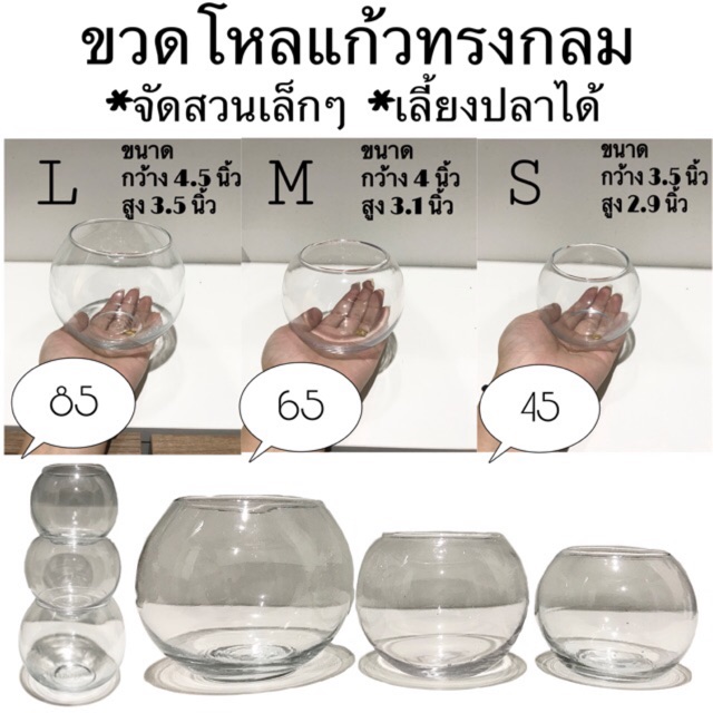 My Image 33