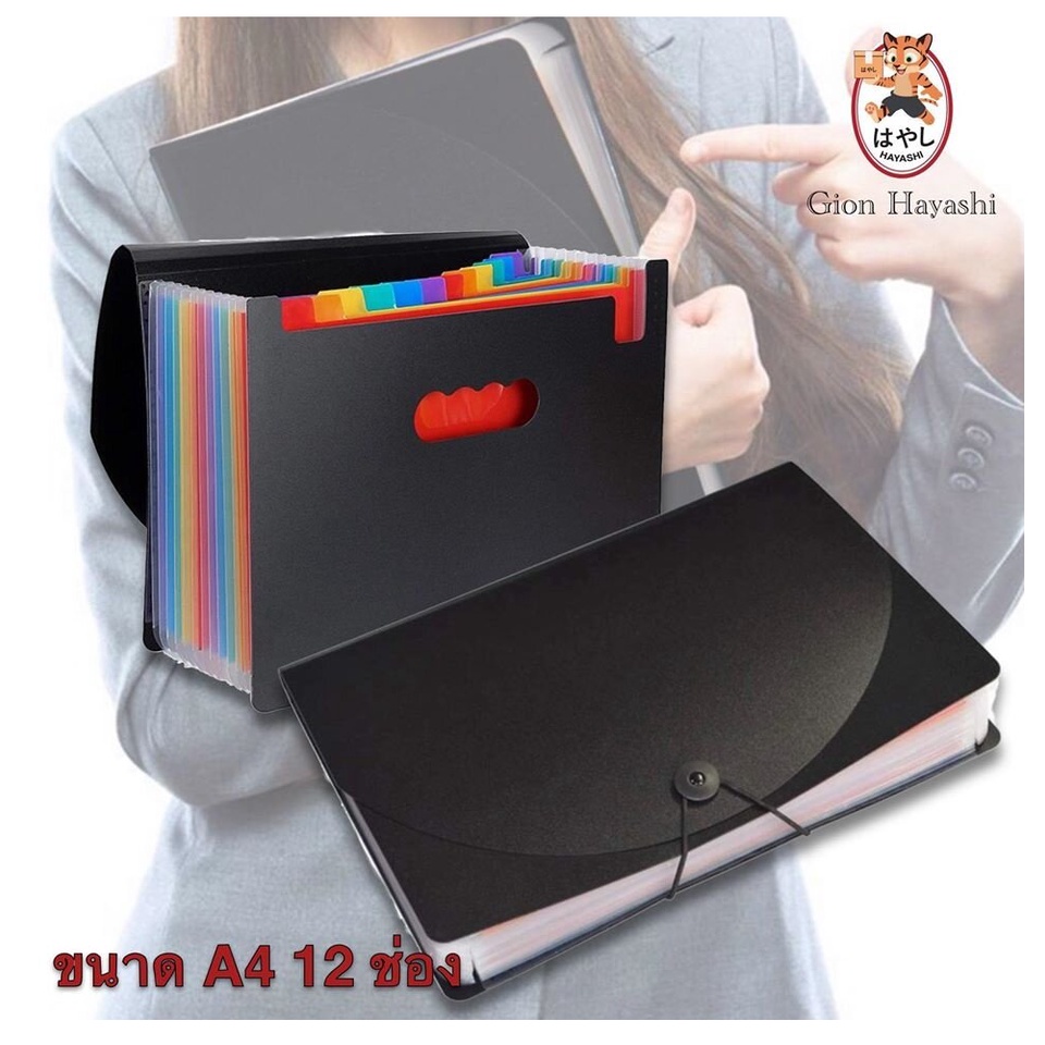 Gion A4 Document Bag With 12 Compartments Pvc 12