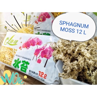 สแฟกนั่มมอส sphagnum moss 120g , 200gและ 500g สินค้ามีพร้อมส่ง