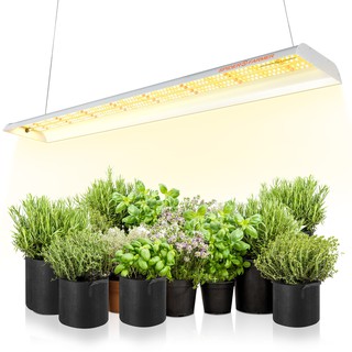 [ส่งฟรี] Spider Farmer SF600 LED Grow Light ไฟปลูกต้นไม้ ของแท้รับประกัน3ปี