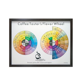 Poster พร้อมกรอบรูป Flavor Wheel (Old)