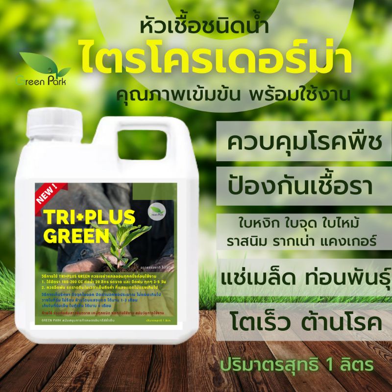 ไตรโคเดอร์มา เชื้อสด ขนาด 1 ลิตร โฉมใหม่ เข้มข้นกว่า เชื้อรา ราก โคนเน่า ใบหงิก แคงเกอร ใบจุด ชีวภาพ ต้นไม้ Trichoderma