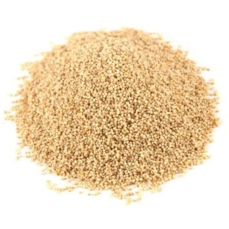 1KG BIGI KAS-KAS/POPPY SEED/KASKAS/WHITE POPPY SEED/TURKEY