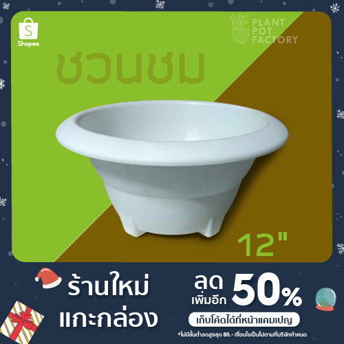 My Image 26
