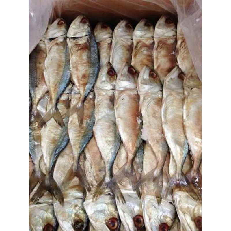 ปลาทูหอม ปลาทูหอมเค็ม ไซส์เล็ก (1 กิโลกรัม) ปลาทูหอมราคา ปลาทูหอมราคาส่ง ปลาทูหอมแม่กลอง ปลาทูหอมมัน ไม่เค็มมาก