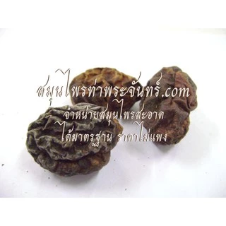 สมอไทยผง 500 กรัม 59 บาท < ราคาส่งสอบถาม > ผงสมอไทย สมอไทย สมอไท ผงสมอไท สมอไทผง