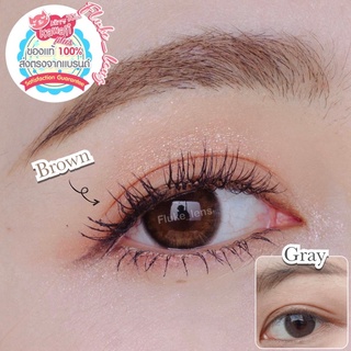 Kittykawaii อมน้ำ55% Mini kelly brown / gray คอนแทคเลนส์ ขนาดมินิ กรองแสง ใส่สบายตา สีธรรมชาติ