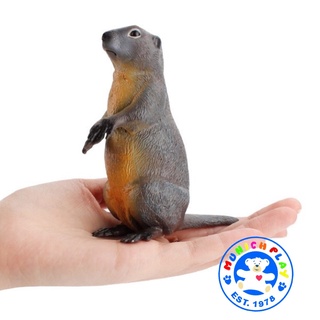 Munich Play - มาร์มอต - Marmot เทา ขนาด 10.50 CM (จากหาดใหญ่)