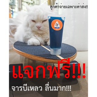 (สั่งหลายหลอด-&gt;ลดโหด) จาระบีเอนกประสงค์(ลื่นมาก) LT เบอร์ 00 ใช้กับ surfskate skateboard จักรยาน จารบีเหลวทนความร้อน