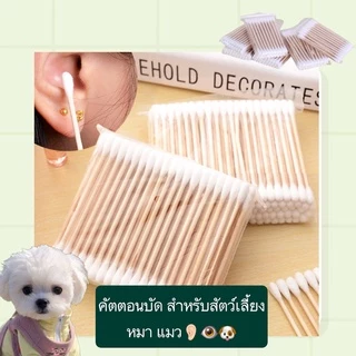 PP-391 คัตตอนบัดไม้แคะหู สำหรับสัตว์เลี้ยง หมา แมว ไม้ปั่นหูแมว สุนัข ใช้งานง่าย ราคาประหยัด พร้อมส่ง 🐈🐶