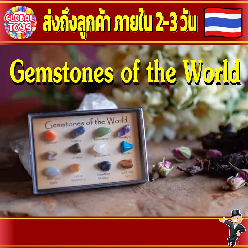 บอร์ดเกมส์ Gemstones of the World Educational Geology Science Kit Rock & Mineral Coll หิน เพื่อการเรียนรู้ ศึกษา ของสะสม